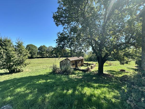 Authentique ferme avec 4 ha de terrain
