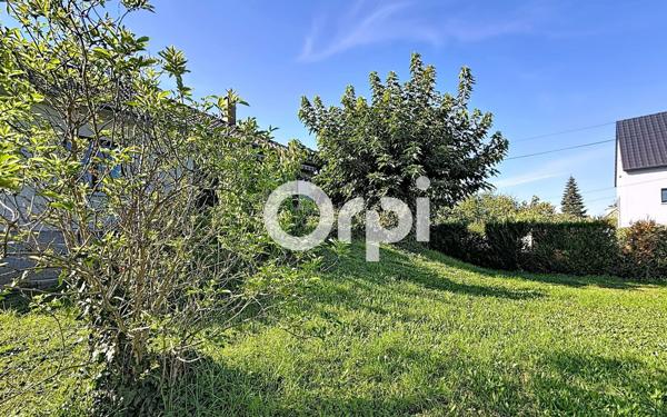 Maison à vendre    4 pièces •  Habsheim