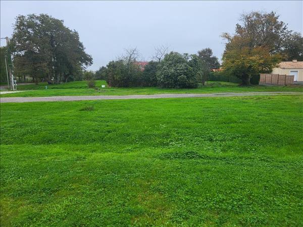 Terrain à vendre |  Bellevigny |  457 m²