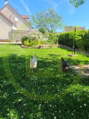 Maison individuelle à EPERNON (28230)