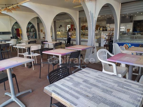 GARD (30) LE GRAU−DU−ROI (30240) Fonds de commerces à vendre Traiteur, Boucherie, 2 magasins/boutiques de vente.