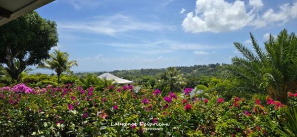 Maison à vendre 4 pièces GOYAVE (971)