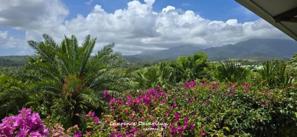 Maison à vendre 4 pièces GOYAVE (971)