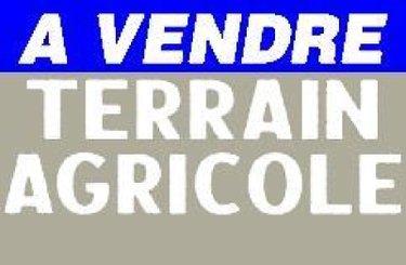 Bien agricole à vendre à Châteauneuf-sur-Cher dans le Cher (18190), ref : 1052939CA