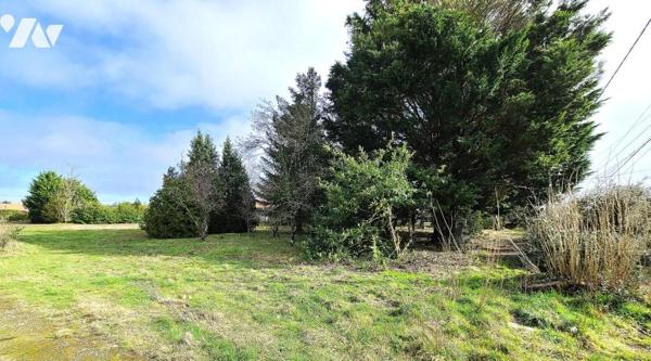 Terrain à bâtir boisé