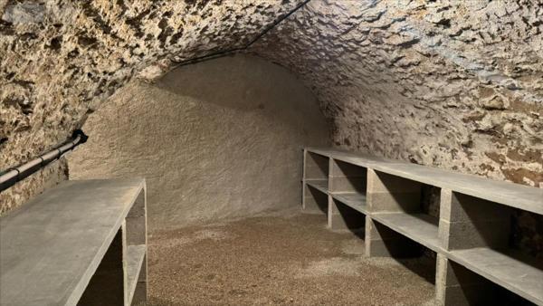 Appartement à louer à Blancs Coteaux dans la Marne (51130), ref : 51011-1089977