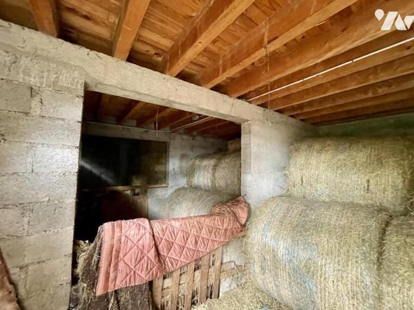 MAISON D'ARCHITECTE EN PIERRE SUR 5 HECTARES - SAINT ALBAN SUR LIMAGNOLE (LOZERE)