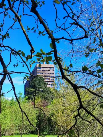 Duplex T3 avec loggias Le Corbusier