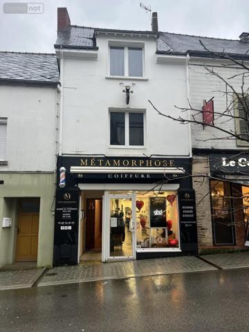 Immeuble à vendre à Ploërmel dans le Morbihan (56800), ref : VI083-56044