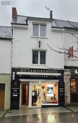 Immeuble à vendre à Ploërmel dans le Morbihan (56800), ref : VI083-56044