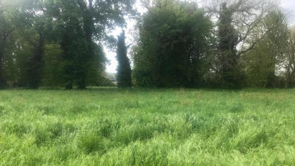 Terrain Ploërmel 1880 m2