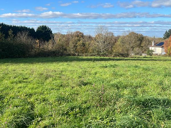 Magnifique terrain constructible de 838m2 dans le bourg de Cognac La Foret