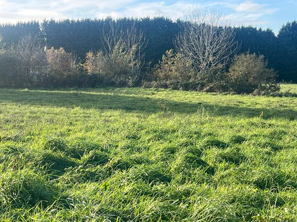 Magnifique terrain constructible de 838m2 dans le bourg de Cognac La Foret