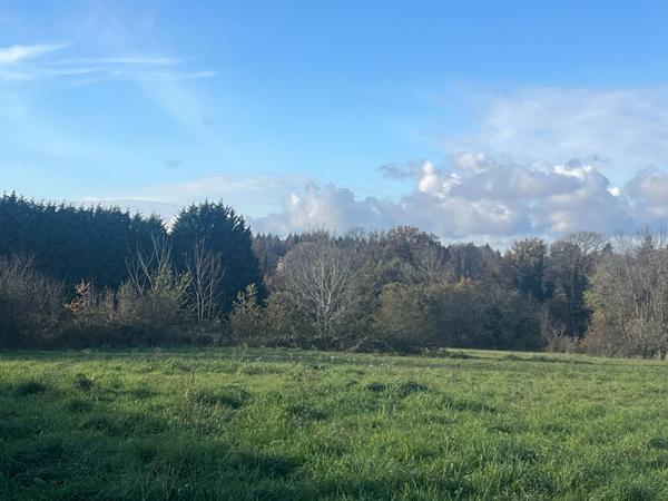Magnifique terrain constructible de 838m2 dans le bourg de Cognac La Foret