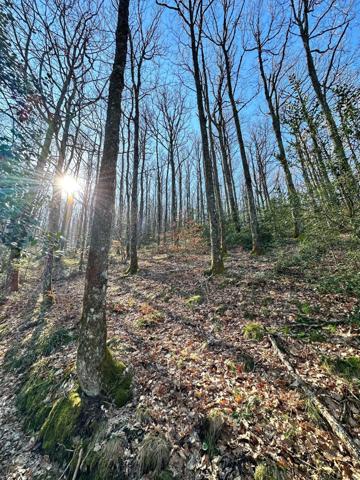 Charmante maison au cœur d’un paisible hameau