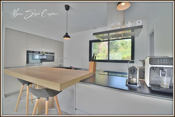 Maison d'architecte à vendre 6 pièces  (40) de 168 m² avec appartement indépendant