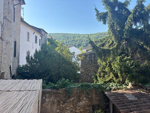 Maison de village 4 pièces ? 86 m² + Appartement T2 de 45 m² ? Alleins (13980)