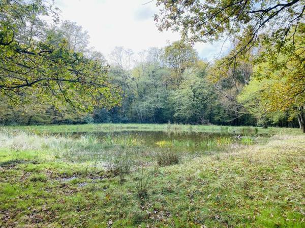 Château à vendre |  Cour-Cheverny |  19 pièces | 480 m²