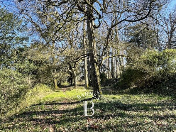 Amboise, Château 6 Chambres -  480 m² à vendre
