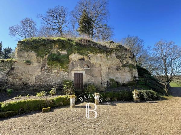 Amboise, Château 6 Chambres -  480 m² à vendre