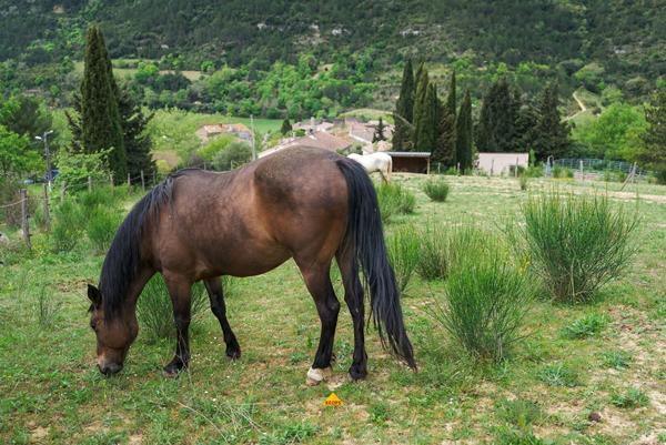 CARCASSONNE – GREFFEIL Terrain constructible de 1.871m² avec vue et partiellement viabilisé