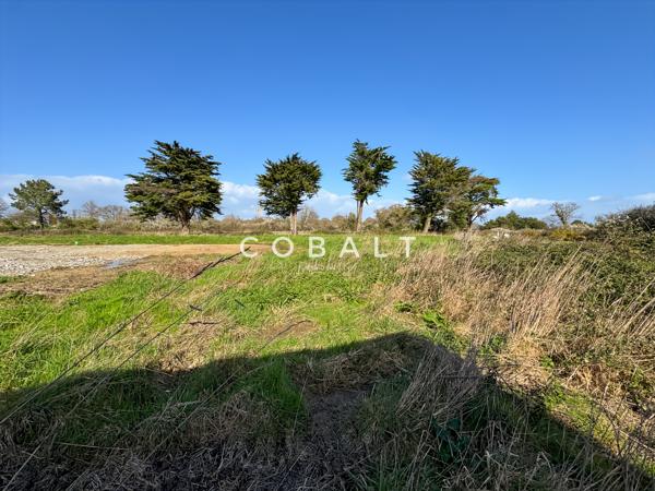 Terrain à bâtir - 459 m² - Secteur Bourg d'Escoublac