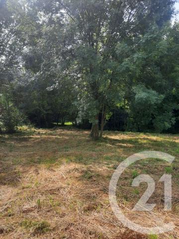 Terrain à vendre  1000 m 2   LAHONCE  - 64