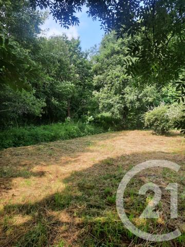 Terrain à vendre  1000 m 2   LAHONCE  - 64