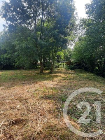 Terrain à vendre  1000 m 2   LAHONCE  - 64