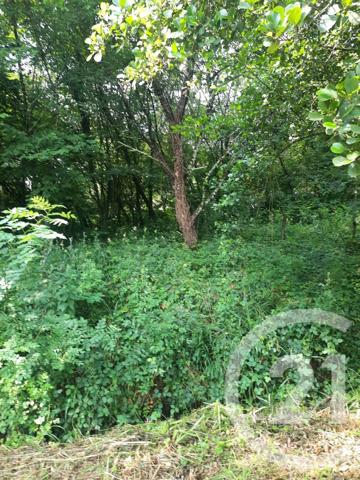 Terrain à vendre  1000 m 2   LAHONCE  - 64