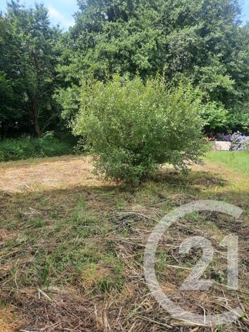 Terrain à vendre  1000 m 2   LAHONCE  - 64
