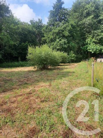 Terrain à vendre  1000 m 2   LAHONCE  - 64