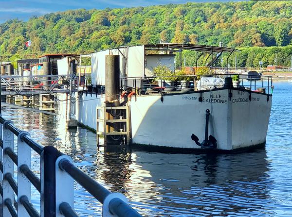 Péniche à vendre à Boulogne-Billancourt (92100) - Hauts-de-Seine