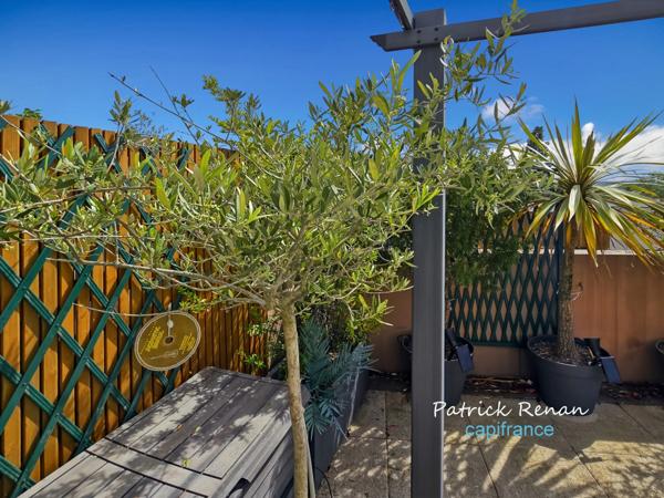 Appartement à vendre 3 pièces, T3, LE CHESNAY ROCQUENCOURT (78), terrasse, 2 parkings