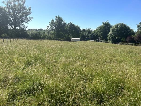 Terrain à bâtir de 1636m2, alliant tranquillité dans un environnement verdoyant et à proximité des commodités.