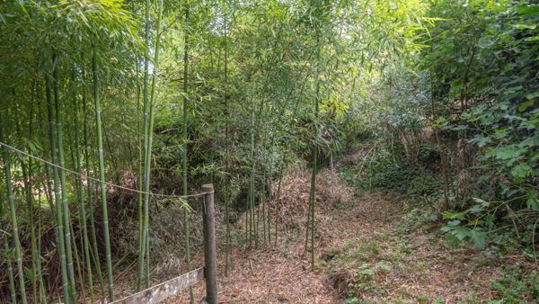 Maison avec jardin -1 chambres 70 m2