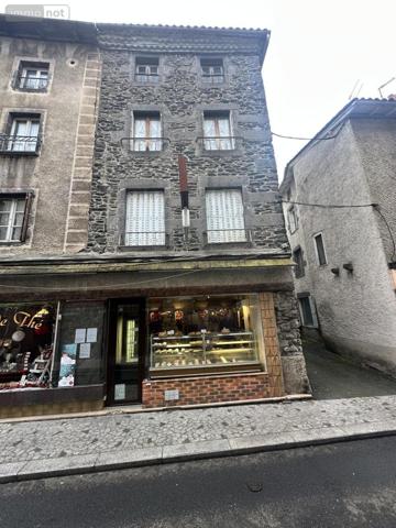 Immeuble à vendre à Saint-Flour dans le Cantal (15100), ref : 15046-12