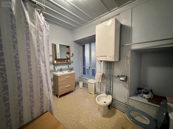 Immeuble à vendre à Saint-Flour dans le Cantal (15100), ref : 15046-12