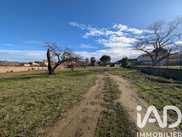 Terrain à vendre 1 150 m² Vinça