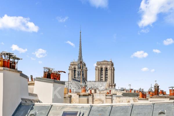 Appartement duplex en dernier étage avec blacon et terrasse sur l'Ile Saint Louis