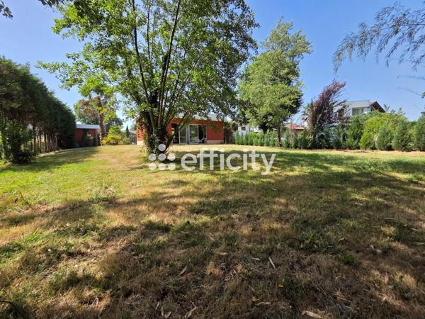 Terrain
        
        - 3000 m² Exclusivité 1 155 000 € *