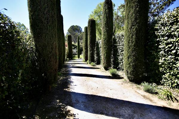 Pernes-les-Fontaines (84210) Nouveau, au coeur d'un parc arboré, de 1516 m2, magnifique Demeure avec ses 2 dépendances, piscine 5/12, plein