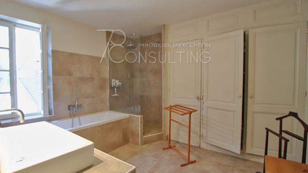 VENTE PROCHE GAILLAC HÔTEL PARTICULIER + APPARTEMENT
