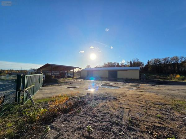 Achat - Immeuble | Local d'activité Eyrein 19800 500 m 2 3100 m 2