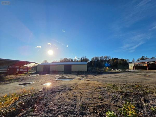 Achat - Immeuble | Local d'activité Eyrein 19800 500 m 2 3100 m 2