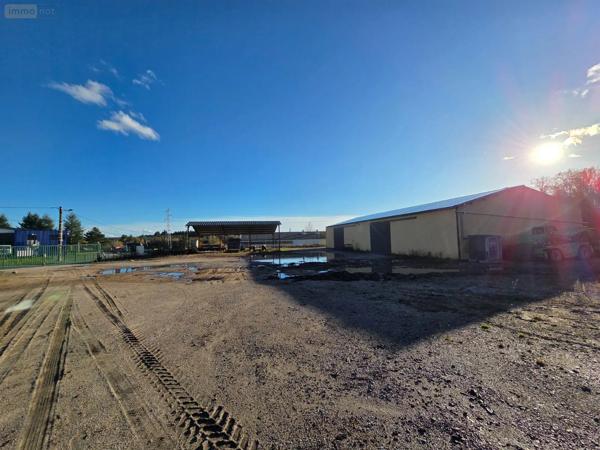 Achat - Immeuble | Local d'activité Eyrein 19800 500 m 2 3100 m 2