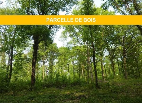 Vente                                                      Terrain
                        
                                         12200 m2                     à Sérifontaine