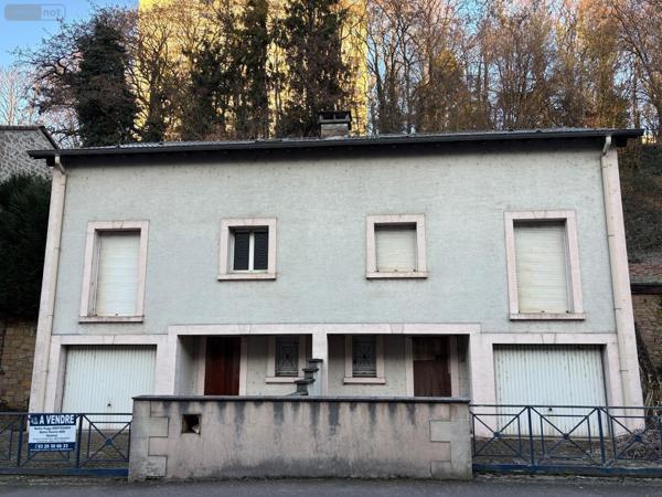 Immeuble à vendre à Épinal dans les Vosges (88000), ref : 14815/201300651   
Rue Saint-Michel Cinéma Patinoire