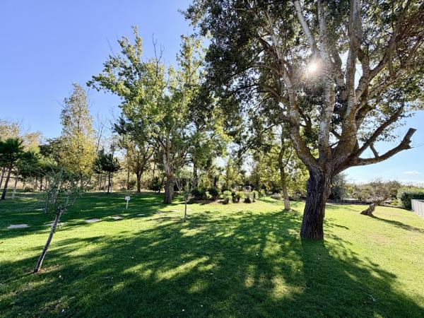 Vente / Appartement T2