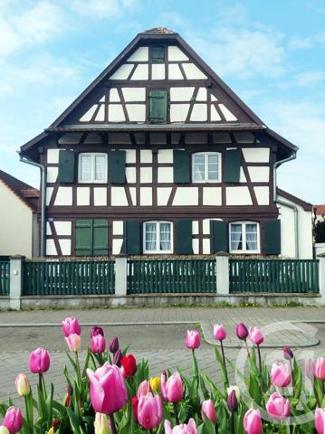 Maison à vendre  5 pièces - 144,85 m 2   HOENHEIM  - 67